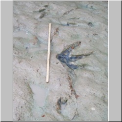 100_0982 (2009-28-07)m.JPG